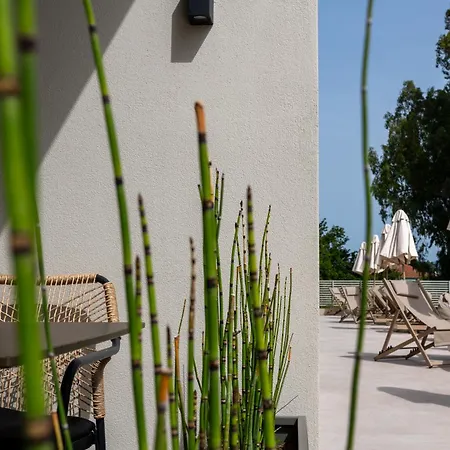 Thera Luxury Living Νικήτη